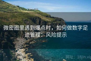 微密圈里遇到爆点时，如何做数字足迹管理：风险提示