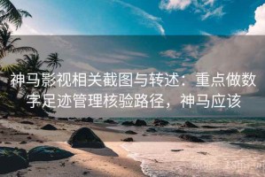神马影视相关截图与转述：重点做数字足迹管理核验路径，神马应该