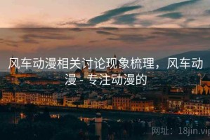 风车动漫相关讨论现象梳理，风车动漫 - 专注动漫的