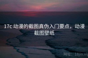 17c 动漫的截图真伪入门要点，动漫截图壁纸