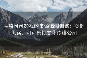 围绕可可影视的来源追溯训练：案例思路，可可影视文化传媒公司