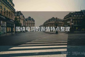 围绕电鸽的舆情特点整理
