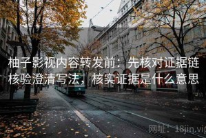 柚子影视内容转发前：先核对证据链核验澄清写法，核实证据是什么意思