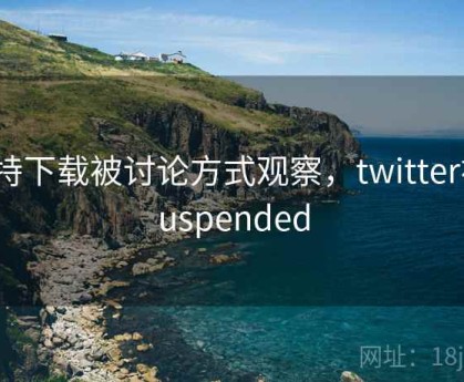 推特下载被讨论方式观察，twitter被suspended