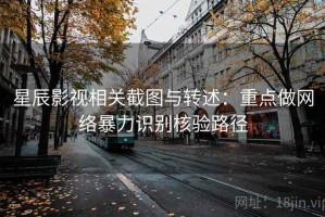 星辰影视相关截图与转述：重点做网络暴力识别核验路径