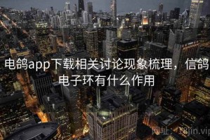 电鸽app下载相关讨论现象梳理，信鸽电子环有什么作用