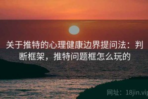 关于推特的心理健康边界提问法：判断框架，推特问题框怎么玩的