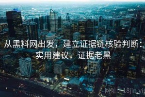从黑料网出发，建立证据链核验判断：实用建议，证据老黑