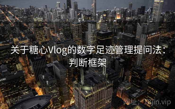 关于糖心Vlog的数字足迹管理提问法：判断框架