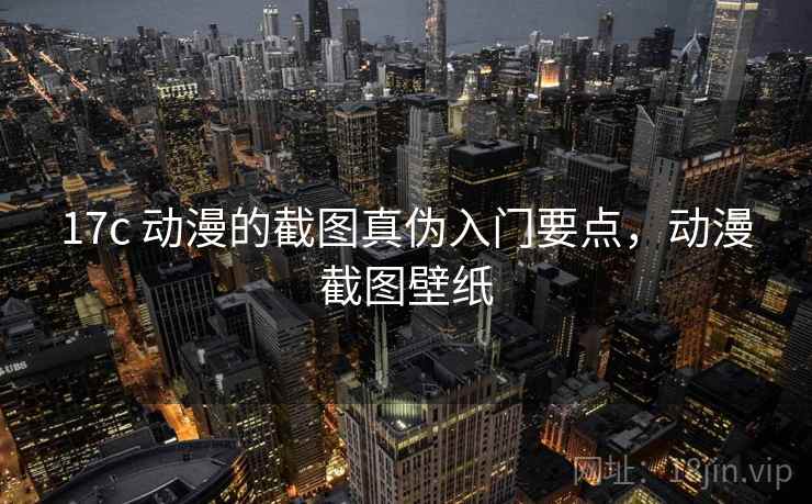 17c 动漫的截图真伪入门要点，动漫截图壁纸