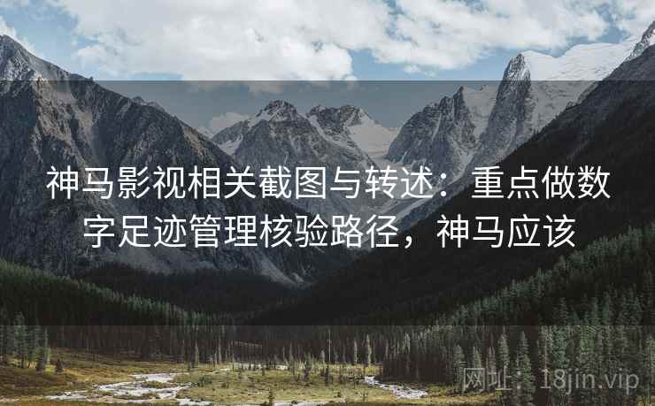 神马影视相关截图与转述：重点做数字足迹管理核验路径，神马应该